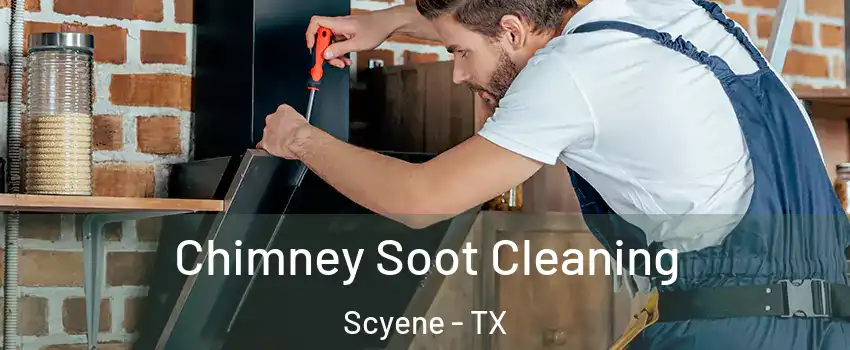 Chimney Soot Cleaning Scyene - TX