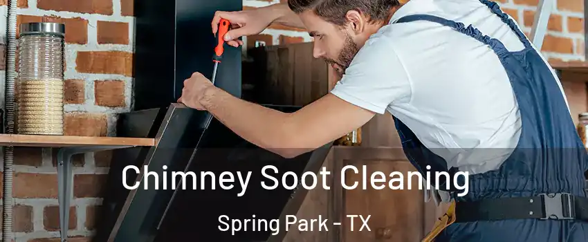 Chimney Soot Cleaning Spring Park - TX