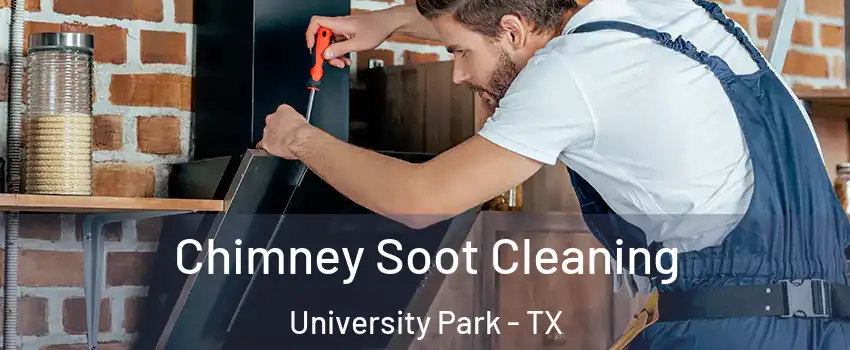 Chimney Soot Cleaning University Park - TX