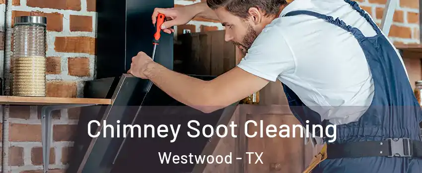 Chimney Soot Cleaning Westwood - TX