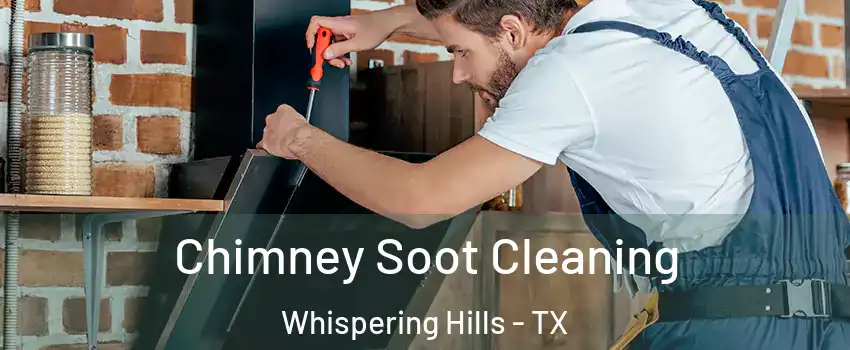 Chimney Soot Cleaning Whispering Hills - TX