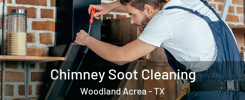 Chimney Soot Cleaning Woodland Acrea - TX
