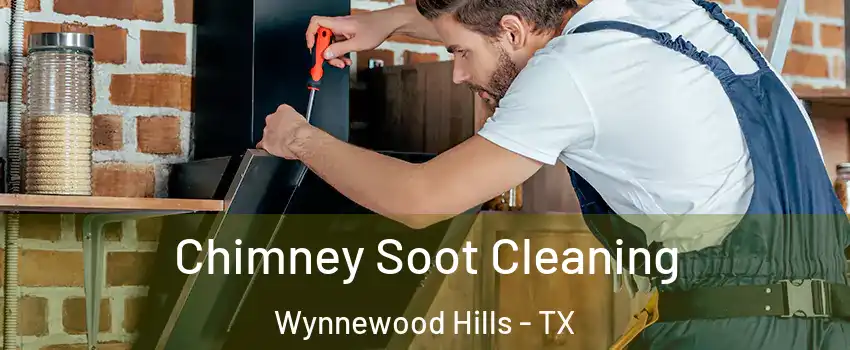 Chimney Soot Cleaning Wynnewood Hills - TX