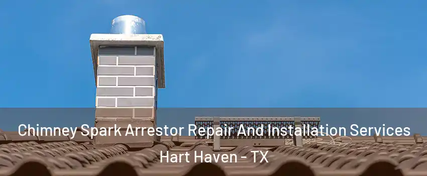 Chimney Spark Arrestor Repair And Installation Services Hart Haven - TX
