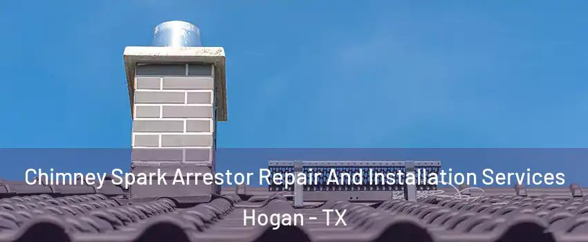 Chimney Spark Arrestor Repair And Installation Services Hogan - TX