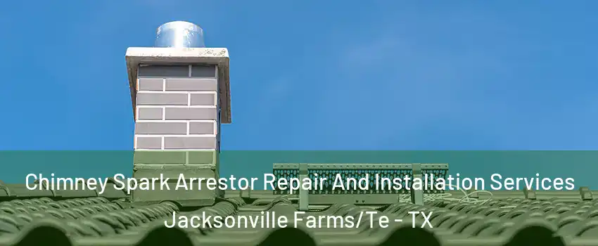 Chimney Spark Arrestor Repair And Installation Services Jacksonville Farms/Te - TX