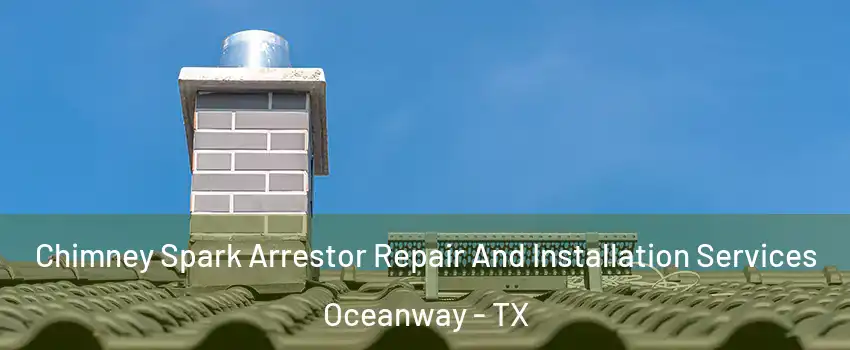 Chimney Spark Arrestor Repair And Installation Services Oceanway - TX