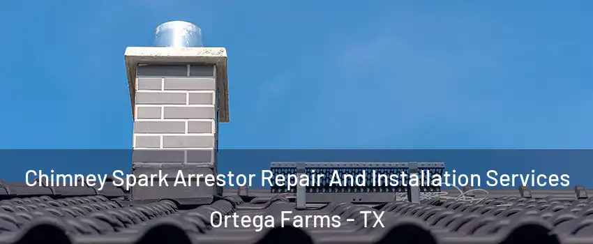 Chimney Spark Arrestor Repair And Installation Services Ortega Farms - TX