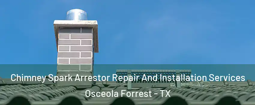 Chimney Spark Arrestor Repair And Installation Services Osceola Forrest - TX