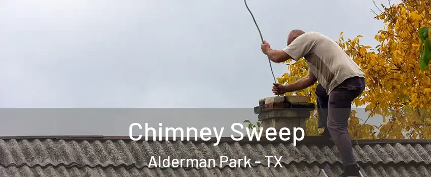 Chimney Sweep Alderman Park - TX