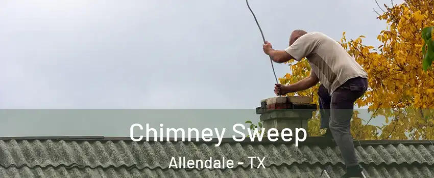 Chimney Sweep Allendale - TX