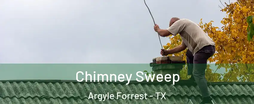 Chimney Sweep Argyle Forrest - TX