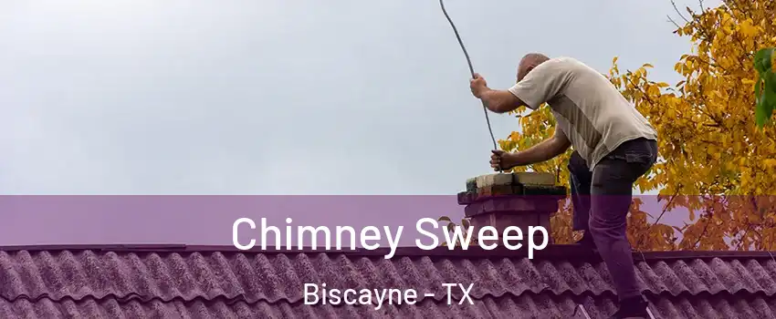 Chimney Sweep Biscayne - TX