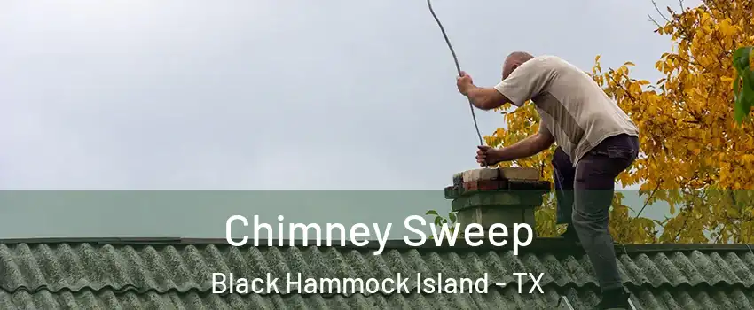 Chimney Sweep Black Hammock Island - TX