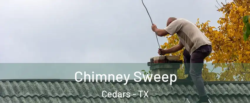 Chimney Sweep Cedars - TX