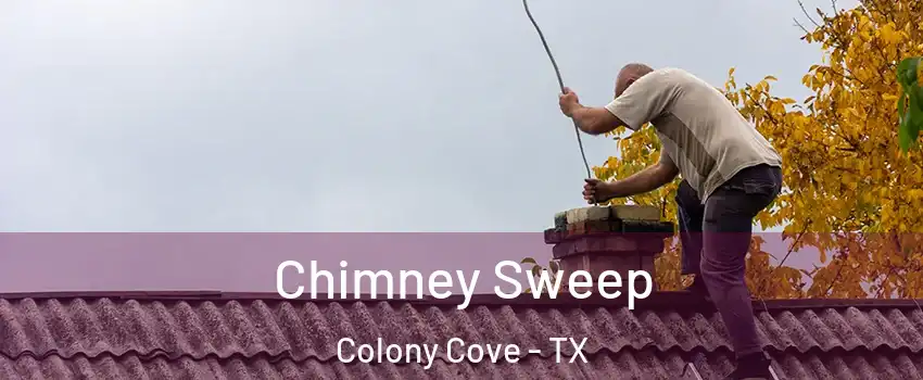 Chimney Sweep Colony Cove - TX