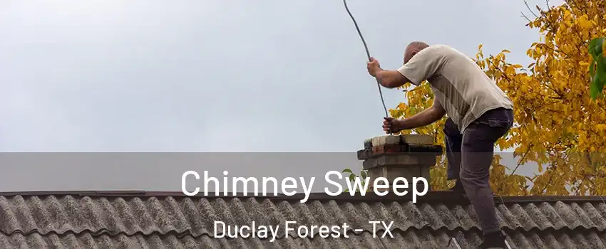 Chimney Sweep Duclay Forest - TX