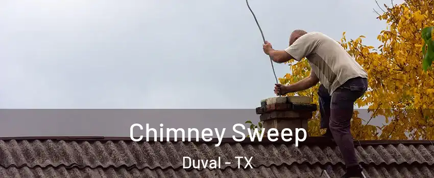Chimney Sweep Duval - TX