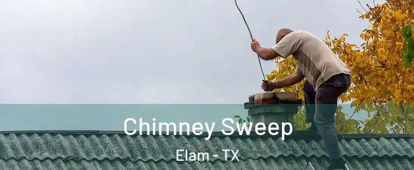 Chimney Sweep Elam - TX