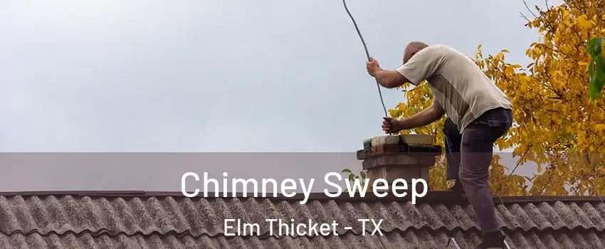Chimney Sweep Elm Thicket - TX