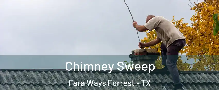 Chimney Sweep Fara Ways Forrest - TX