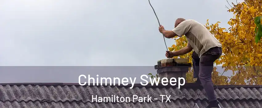 Chimney Sweep Hamilton Park - TX
