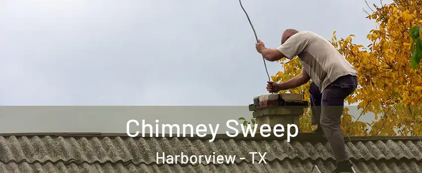 Chimney Sweep Harborview - TX