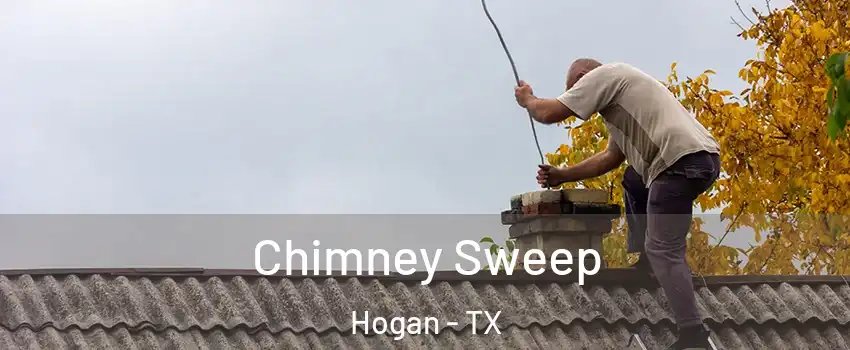 Chimney Sweep Hogan - TX