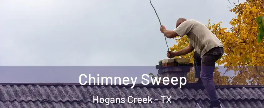 Chimney Sweep Hogans Creek - TX