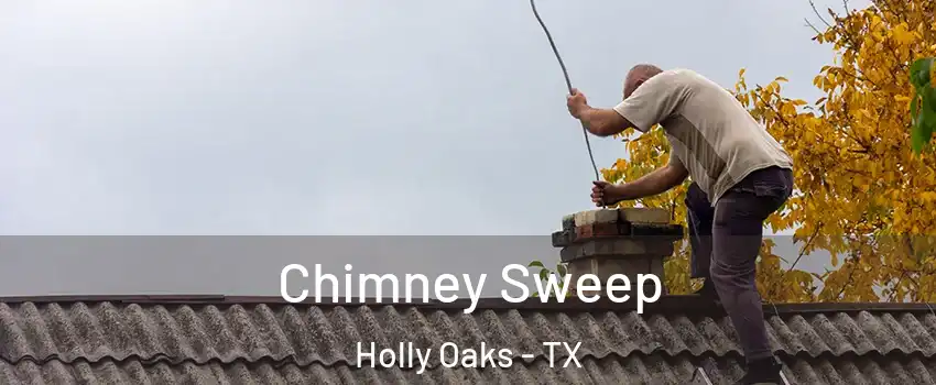 Chimney Sweep Holly Oaks - TX