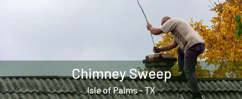 Chimney Sweep Isle of Palms - TX