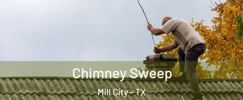 Chimney Sweep Mill City - TX