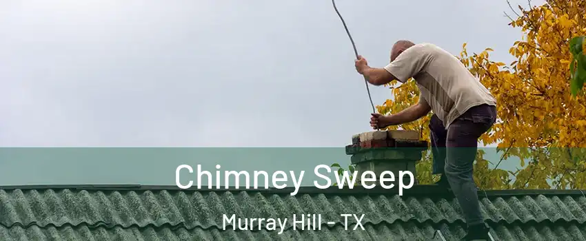 Chimney Sweep Murray Hill - TX