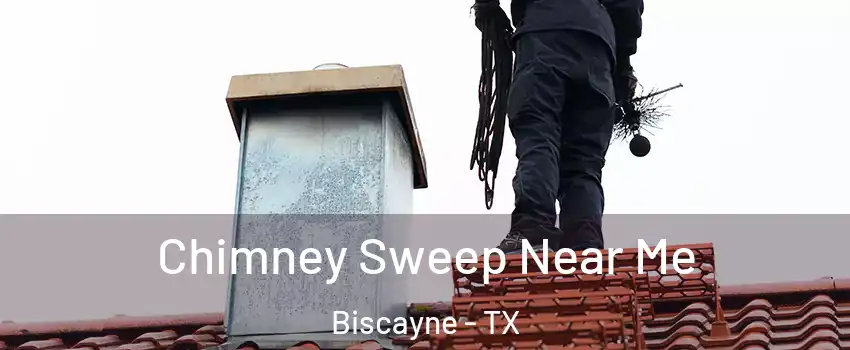 Chimney Sweep Near Me Biscayne - TX