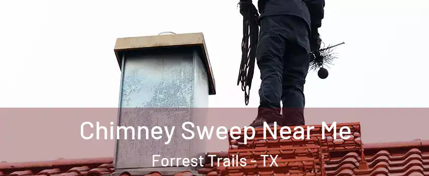 Chimney Sweep Near Me Forrest Trails - TX