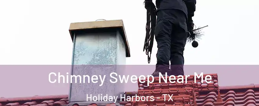 Chimney Sweep Near Me Holiday Harbors - TX