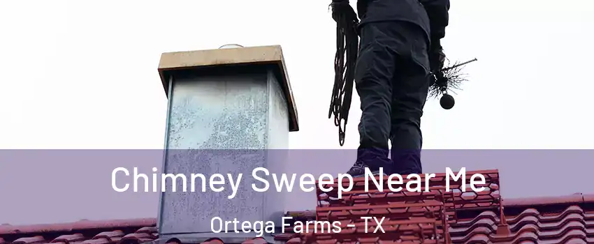 Chimney Sweep Near Me Ortega Farms - TX