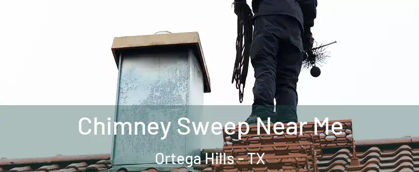 Chimney Sweep Near Me Ortega Hills - TX