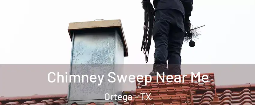 Chimney Sweep Near Me Ortega - TX