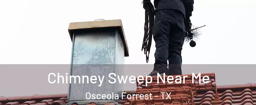 Chimney Sweep Near Me Osceola Forrest - TX