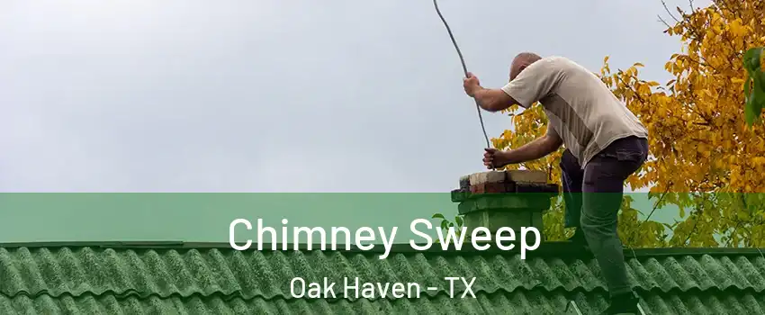 Chimney Sweep Oak Haven - TX