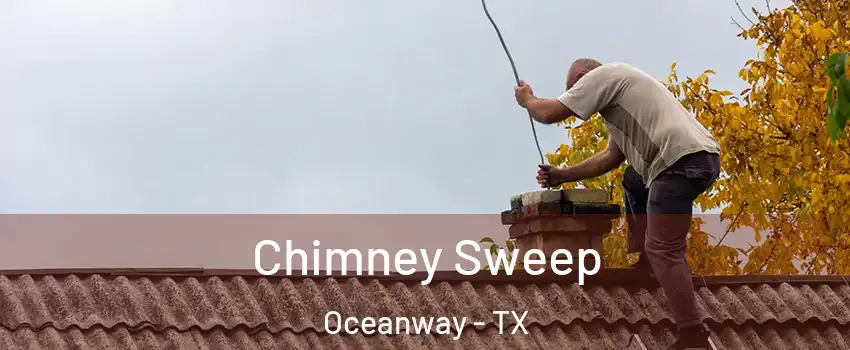 Chimney Sweep Oceanway - TX