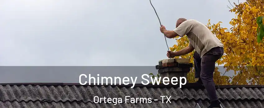 Chimney Sweep Ortega Farms - TX