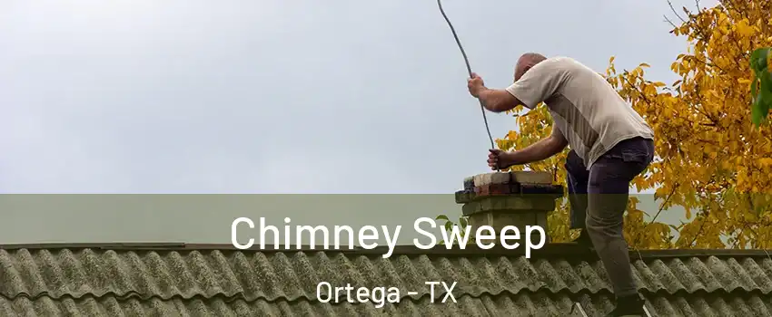Chimney Sweep Ortega - TX