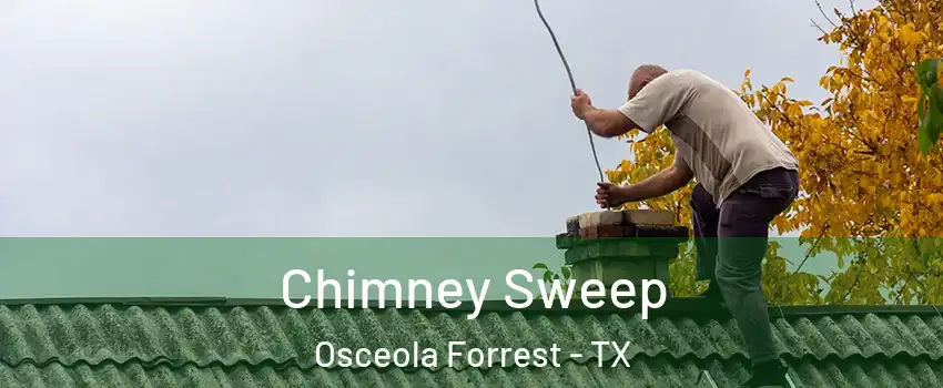 Chimney Sweep Osceola Forrest - TX