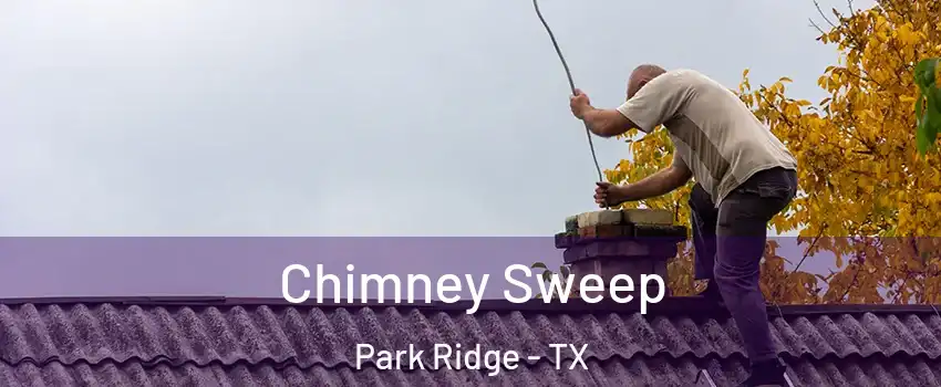 Chimney Sweep Park Ridge - TX