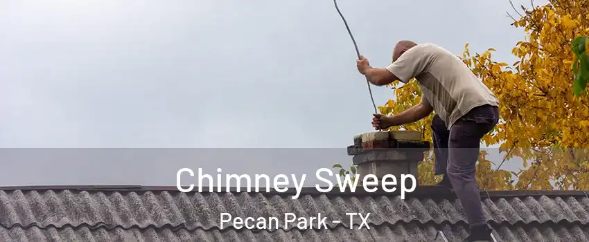 Chimney Sweep Pecan Park - TX