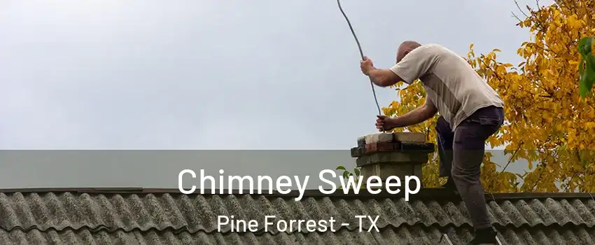 Chimney Sweep Pine Forrest - TX