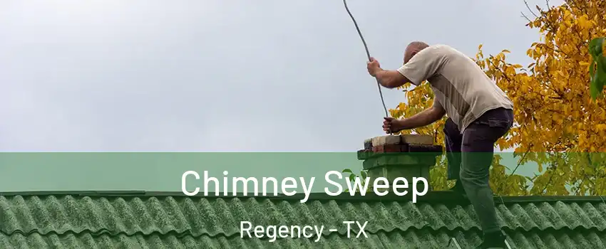 Chimney Sweep Regency - TX