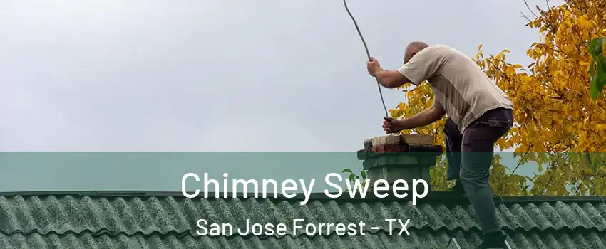 Chimney Sweep San Jose Forrest - TX